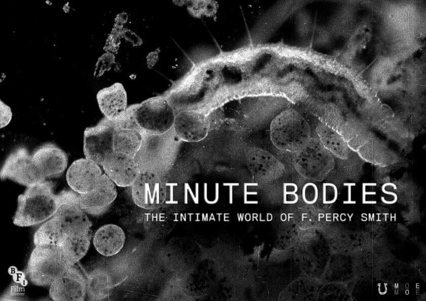 Picture Minute Bodies: The Intimate World of F. Percy Smith