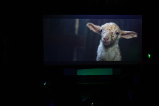International premieres of films The Lamb and We Had It Coming