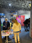 Febiofest in Děčín