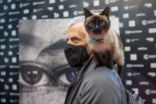 28th PRAGUE IFF – FEBIOFEST: DAY 6