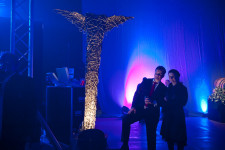 galery 2013