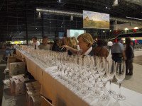 galery 2011