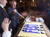 galery 2011
