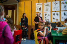 Kokoškovi na cestách - workshop