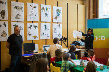 Kokoškovi na cestách - workshop