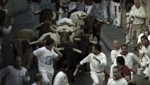 Pamplona - běh s býky 3D foto
