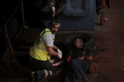 The Gambler photo