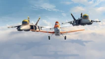 Planes photo