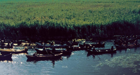 Snímek Delta