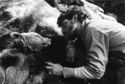 The Bear photo