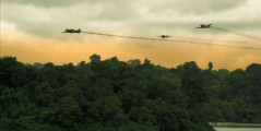 Canopy photo
