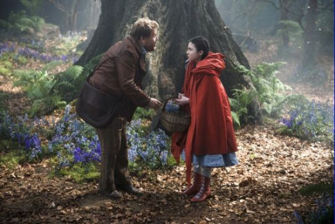 Picture Into the Woods