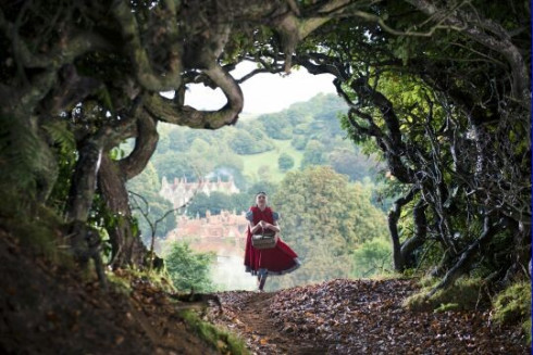Picture Into the Woods