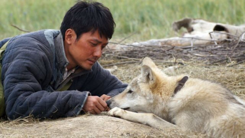 Picture Wolf Totem