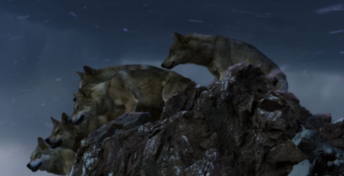 Snímek Talisman vlků