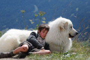 Belle & Sebastian: The Adventure Continues photo
