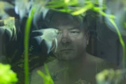 Herbert foto