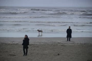 Nahid foto