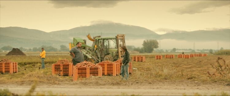 trailer Stanko