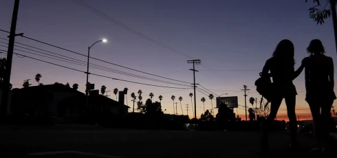 Picture Tangerine