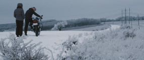 Anishoara photo