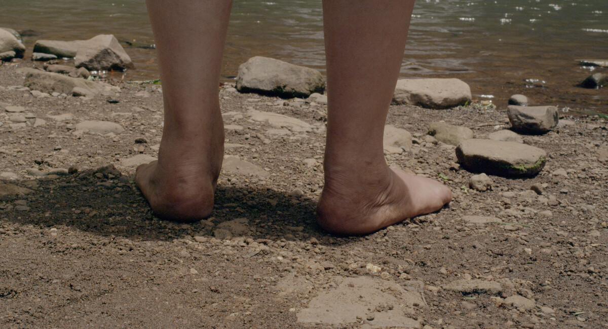 trailer Last Land
