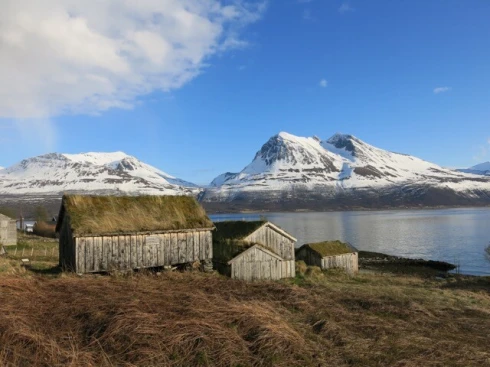 Picture Northern Disco Lights