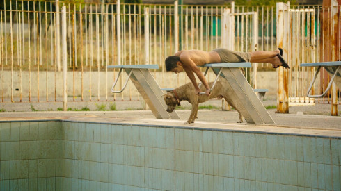 Picture Park