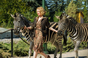 The Zookeeper's Wife photo
