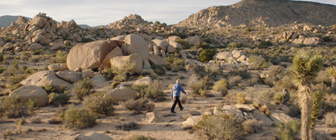 Picture Where is Rocky II?