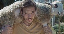 Mlhovina mrtvého koně foto