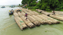 Příběhy z bambusu foto