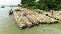 Bamboo Stories photo