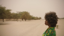 The Great Green Wall photo