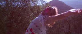 My Tender Matador photo